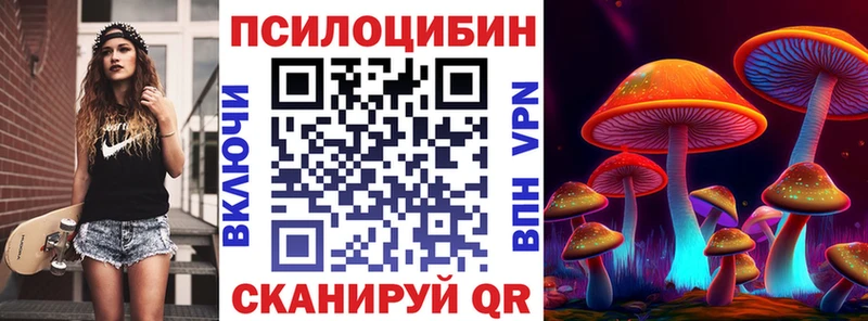 Псилоцибиновые грибы прущие грибы  Каргополь 